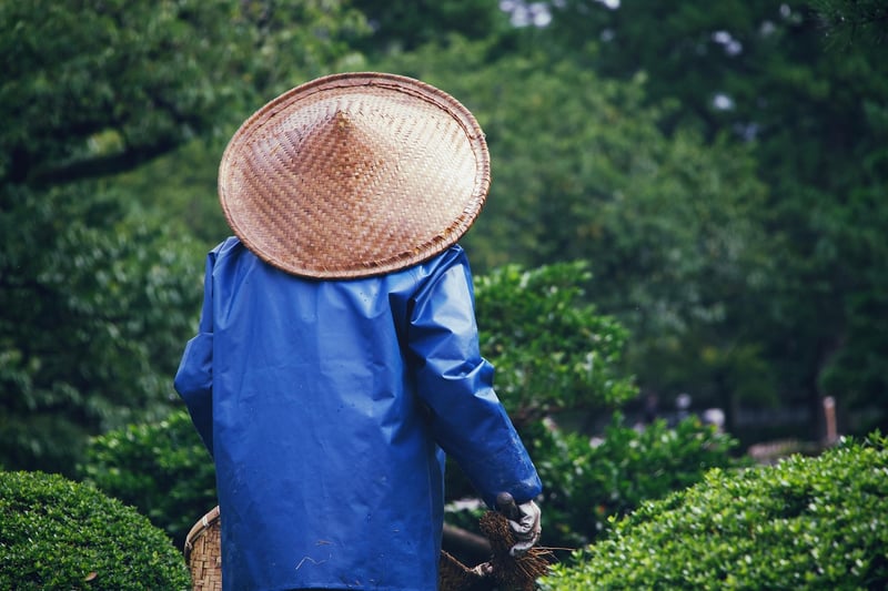 Green Thumb Gardening Group