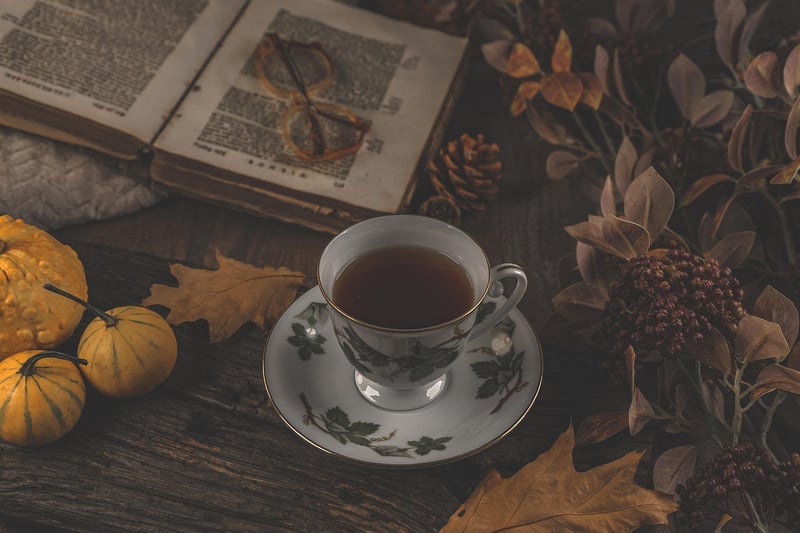 Teacup Mini Garden